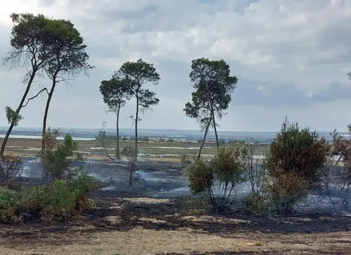 Foto della Palude La Vela bruciata