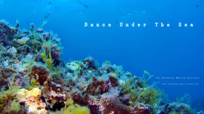 Foto cortometraggio Dance Under The Sea